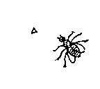Tegning av flue